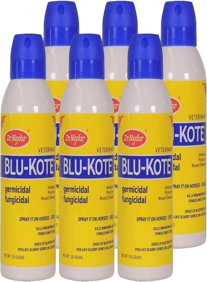 Dr. Naylor FA Dressing Blu-Kote Aerosol (4.5 oz.) -Fast Drying Antiseptic Wound Dre Pack of 6 - Image 2